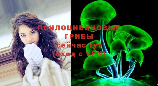 синтетический гашиш Богородицк