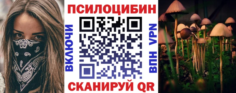 Псилоцибиновые грибы GOLDEN TEACHER Армавир